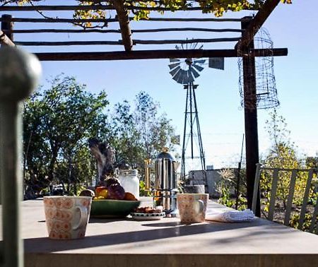 Olive Grove House 호텔 프린스앨버트 외부 사진