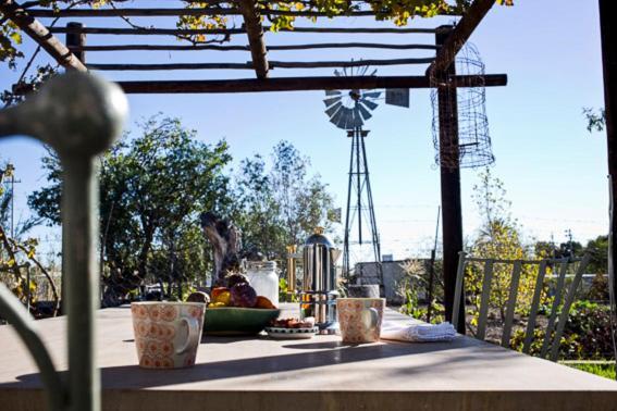 Olive Grove House 호텔 프린스앨버트 외부 사진